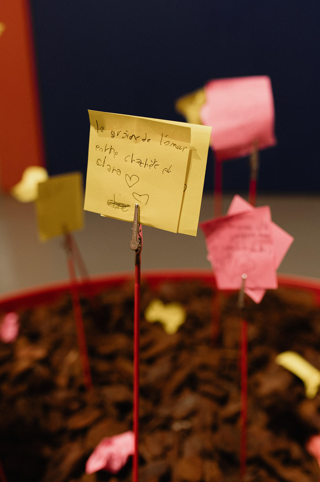 Photo d'un enfant posant un poid sur une balance lors d'une activité ludique de l'exposition graines